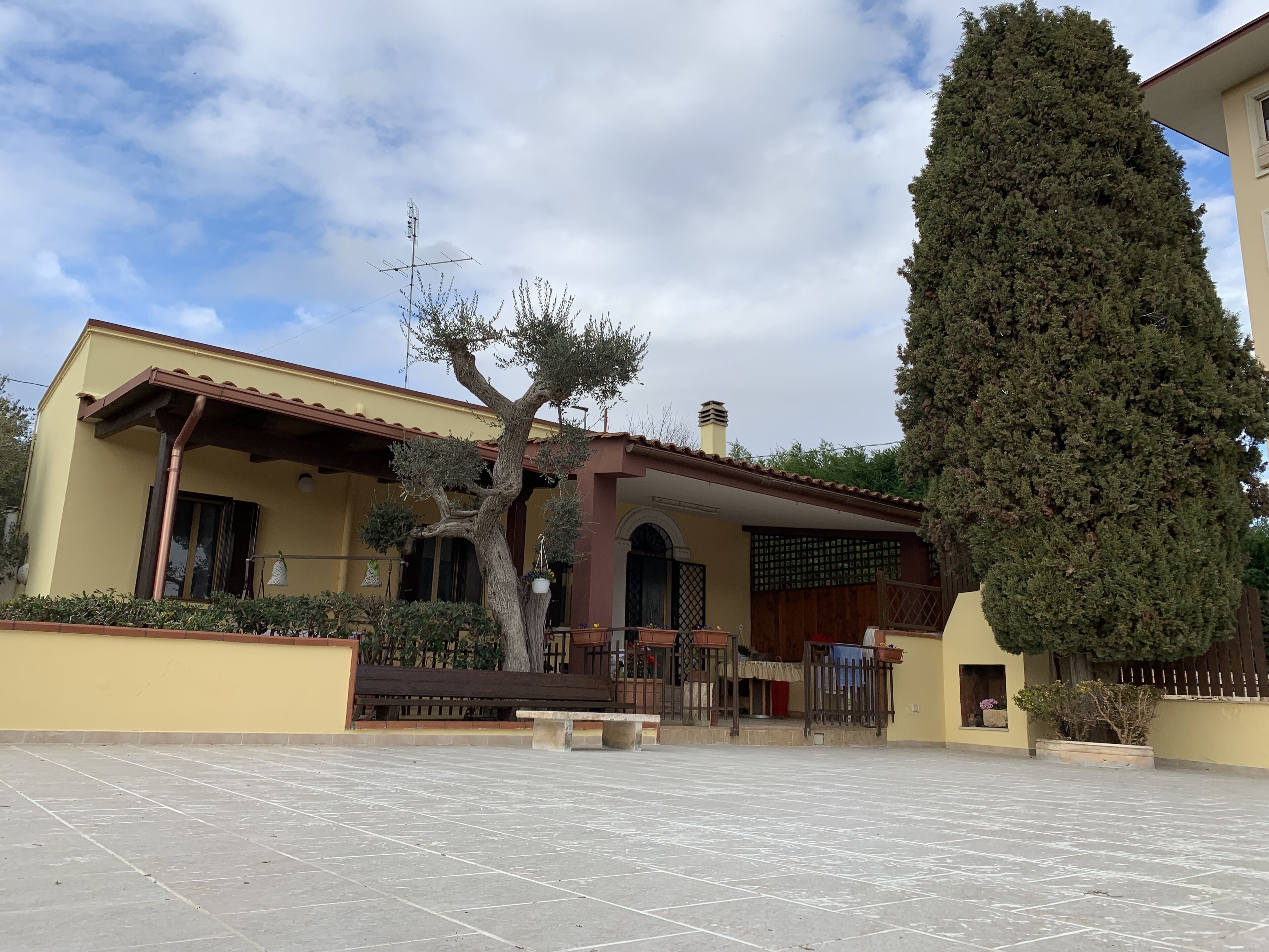 Sara's Cottage among the Olives