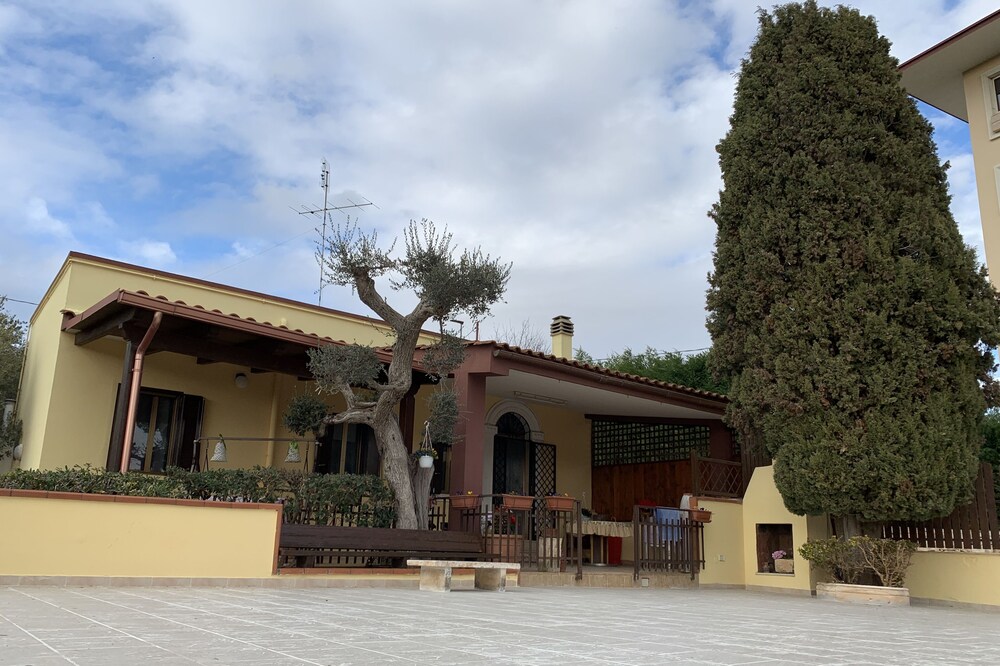 Sara's Cottage among the Olives