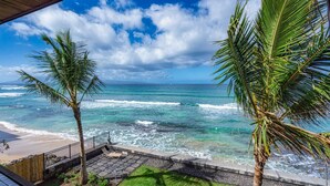 Une vue sur la côte, avec des palmiers, une plage et un ciel dégagé.