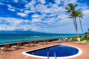 Pool - Modern-rustic beach renovation. Direct oceanfront views! (Lahaina)
