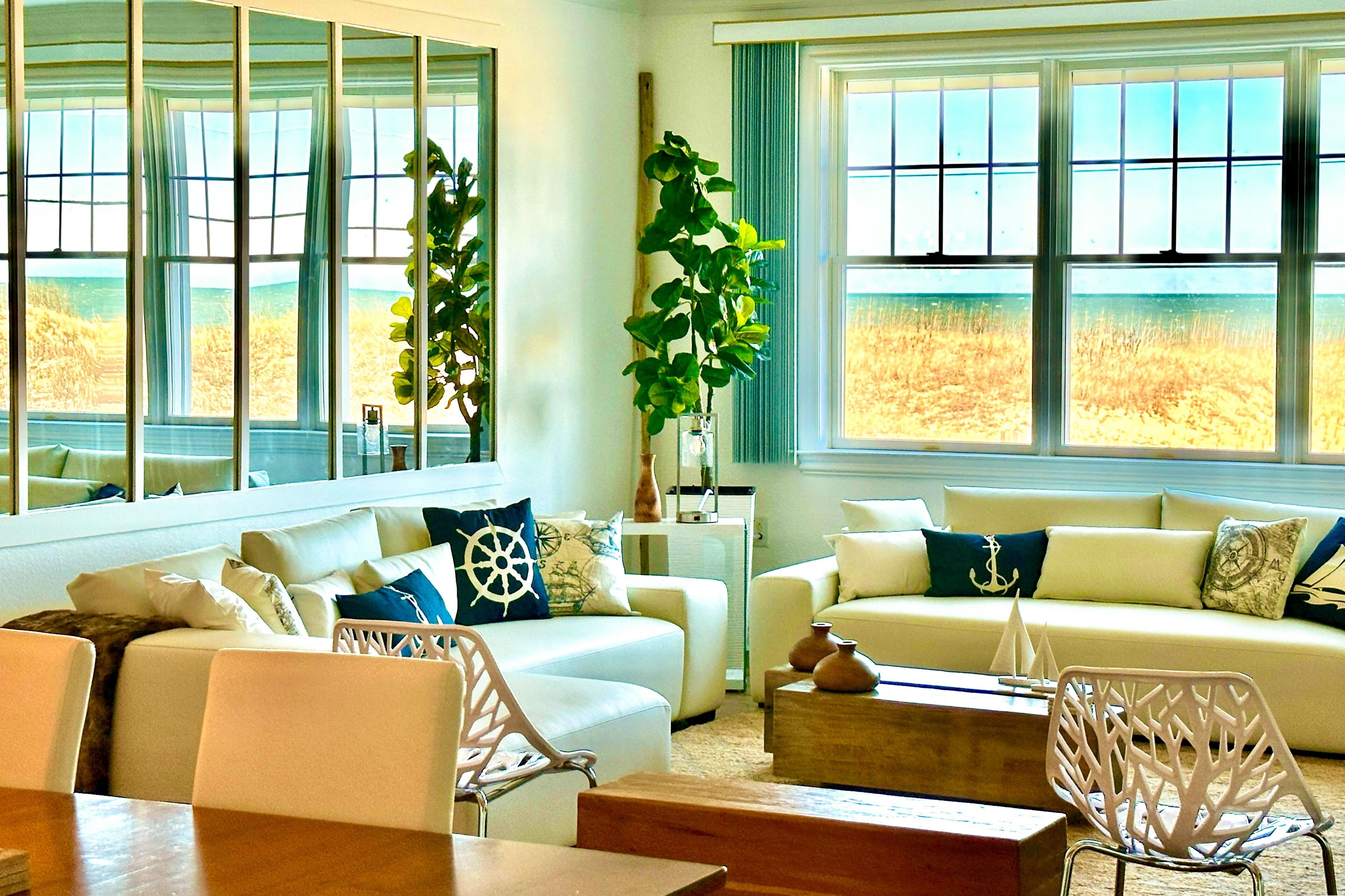 TV, DVD player, books