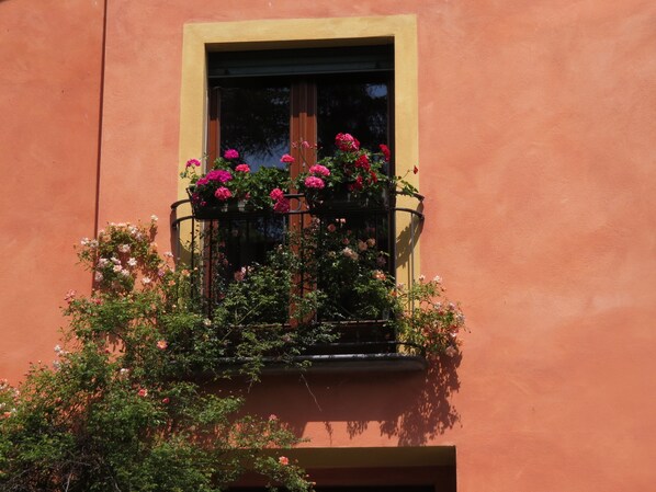A building with a window featuring a black metal balcony with pink and white flowers.