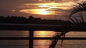 Un atardecer sobre un cuerpo de agua, con la silueta de árboles y una palmera en primer plano.