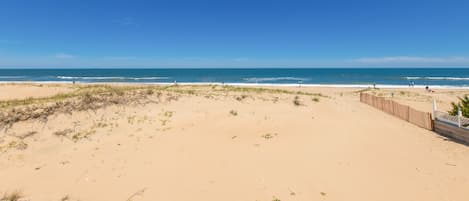 On the beach