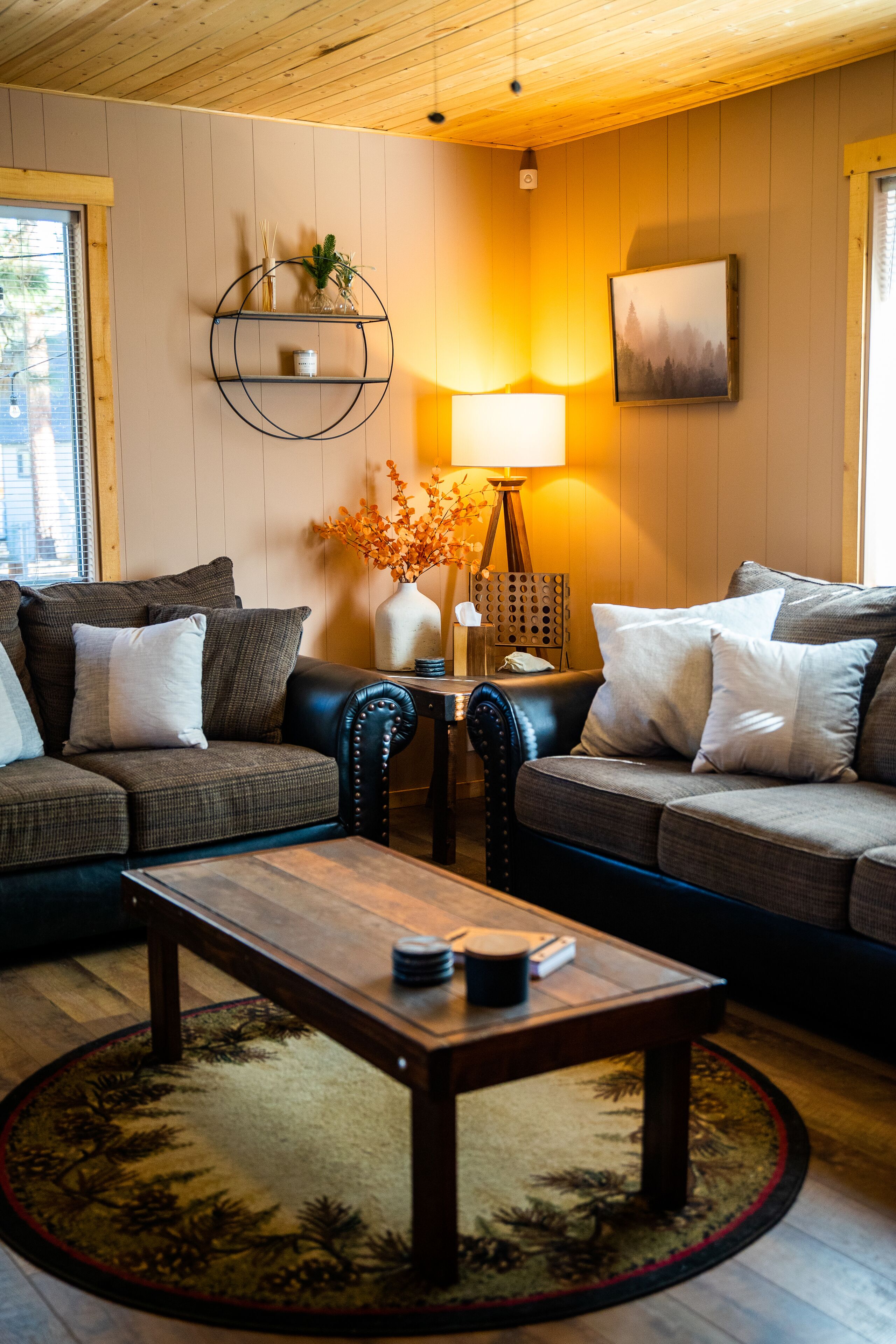 智能电视、壁炉