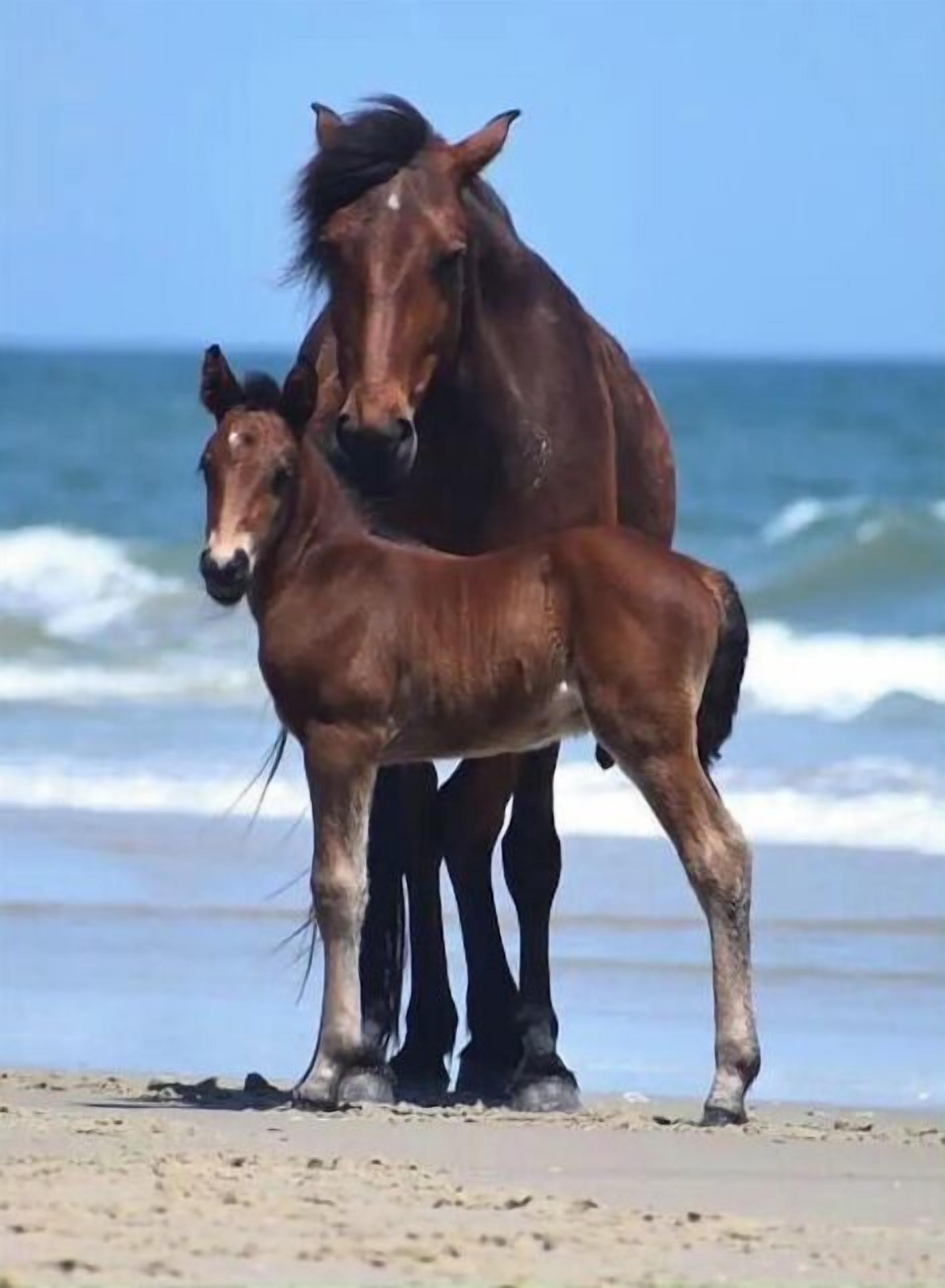 Vlak bij het strand, ligstoelen, strandlakens