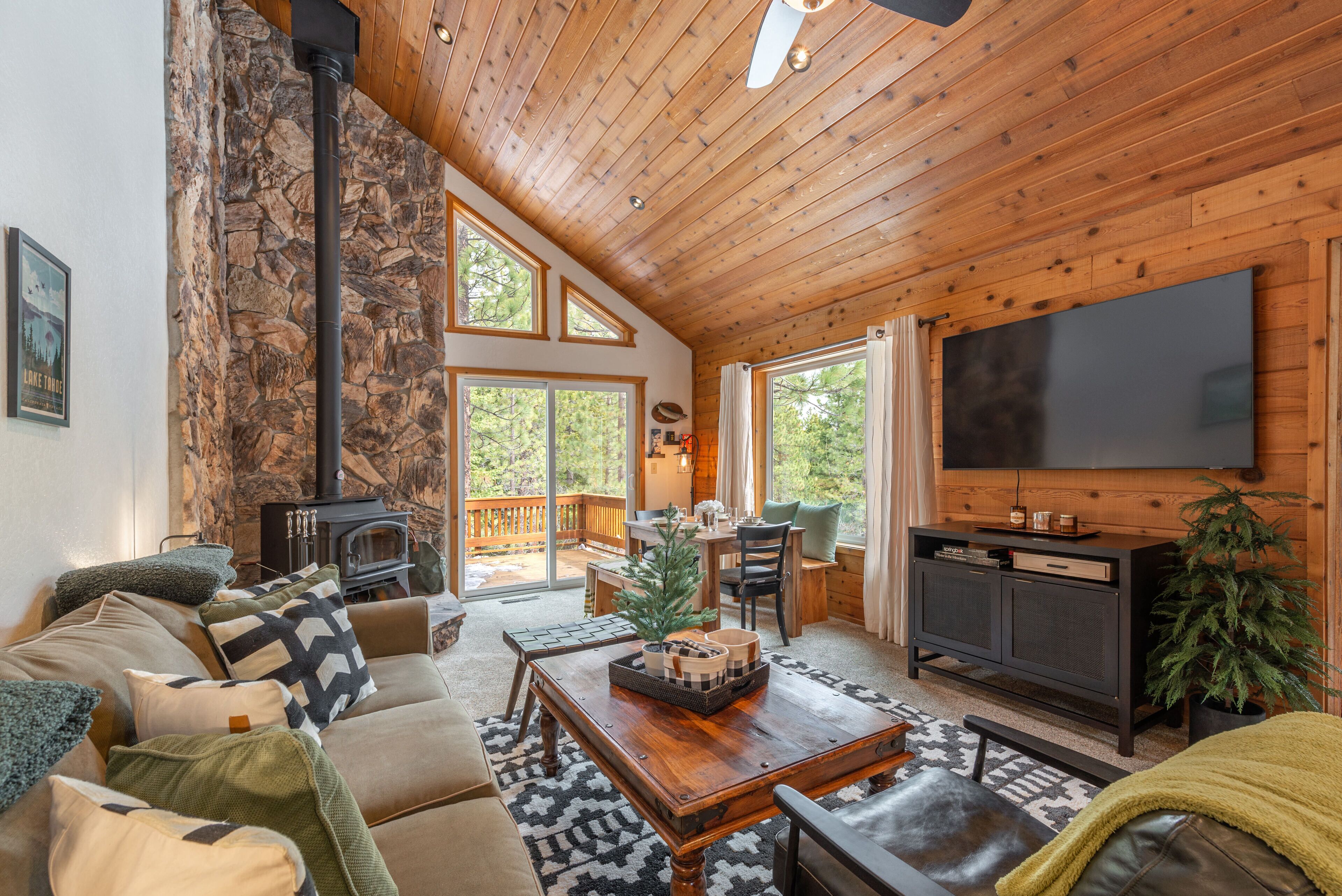 TV, fireplace, books