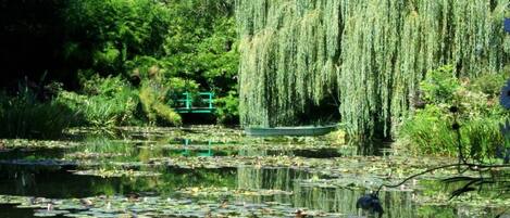 Overnatningsstedets område