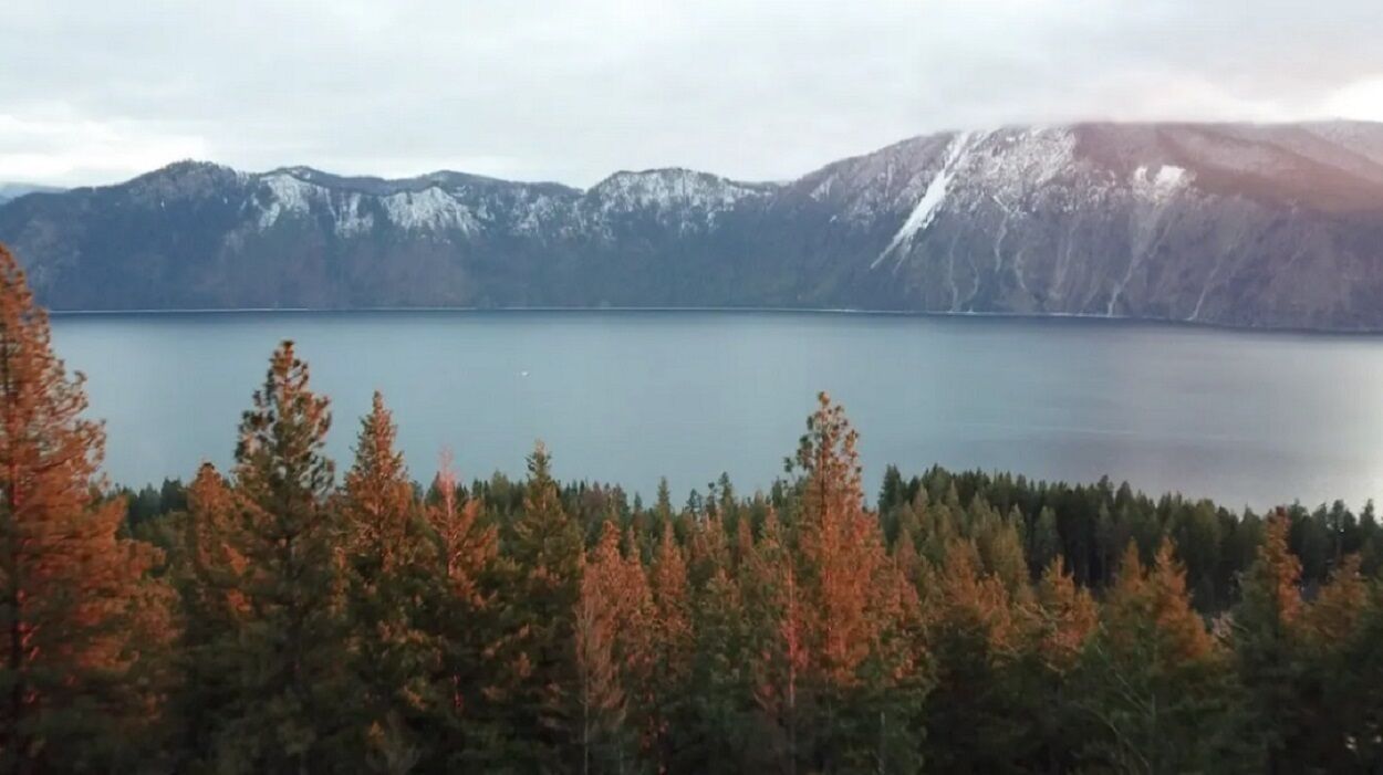 A lake surrounded by mountains and a forest.