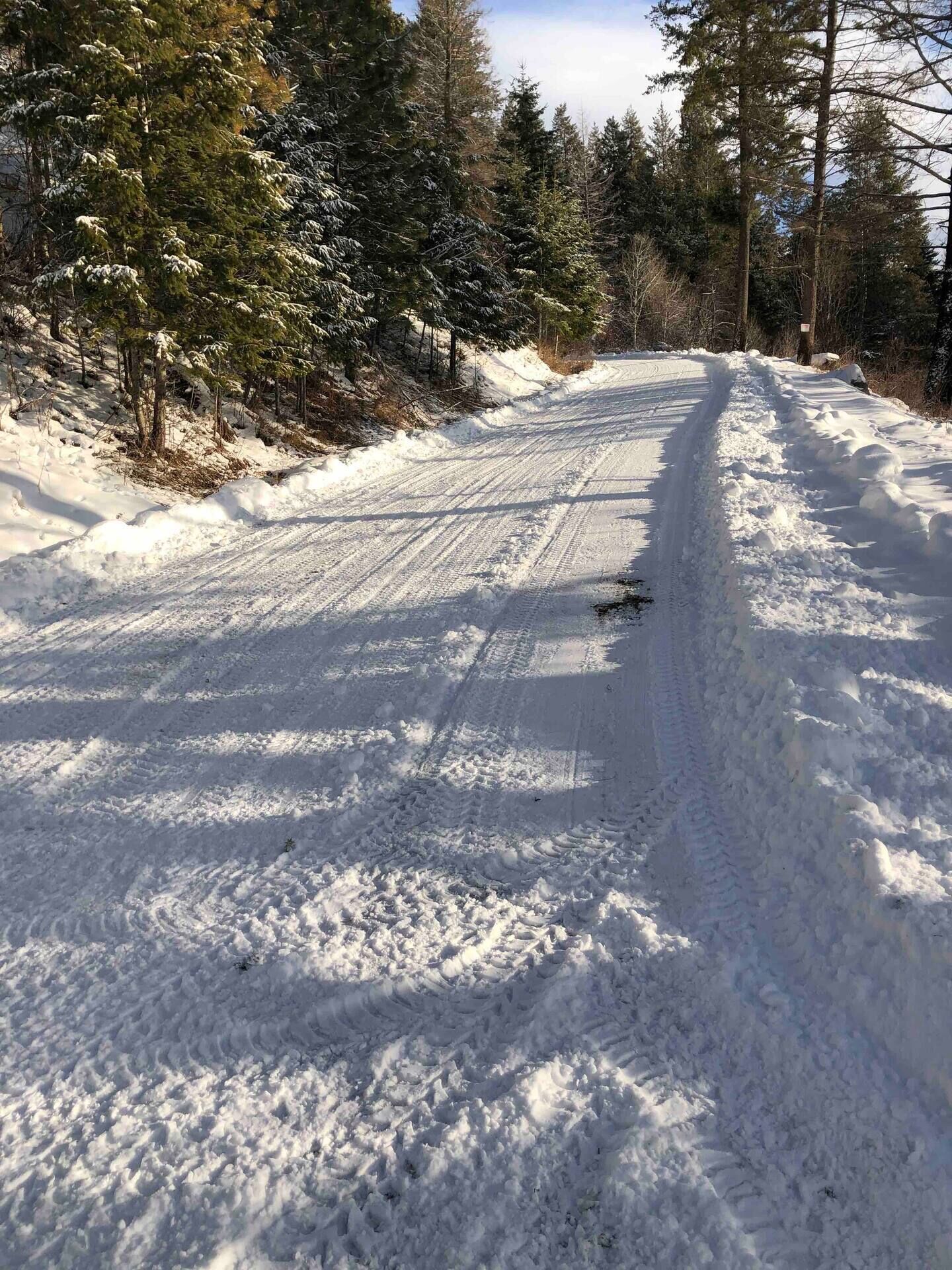 A snow-covered road with tire tracks, surrounded by evergreen trees.
