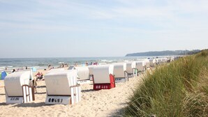 A beach with rows of white beach chairs labeled with numbers, a sandy beach, and the ocean in the background.