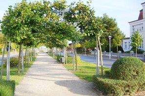 Un sendero bordeado de árboles con acera, cerca blanca y un edificio al fondo.