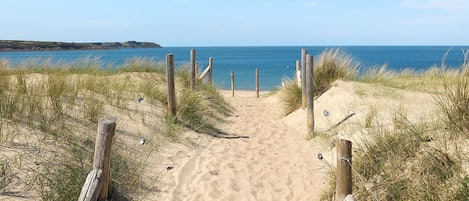 Playa