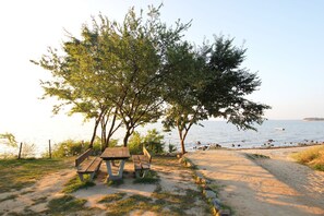 A beachside picnic area with benches and a table, surrounded by trees and a view of the sea.
