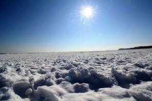 Unclassified image, 3 of 40, button - Sealodge - house close to the beach with sea view, use of swimming pool and sauna - (Göhren)