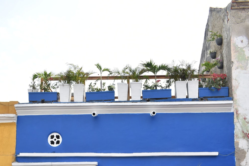 Hostal Seven Nights Cartagena - Hostel