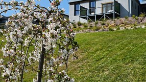 Ett modernt hus med ett platt tak och stora fönster, omgivet av en gräsplätt och ett blommande träd.