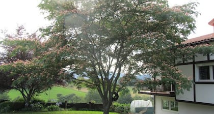 Only 30 Kms From San Sebastian