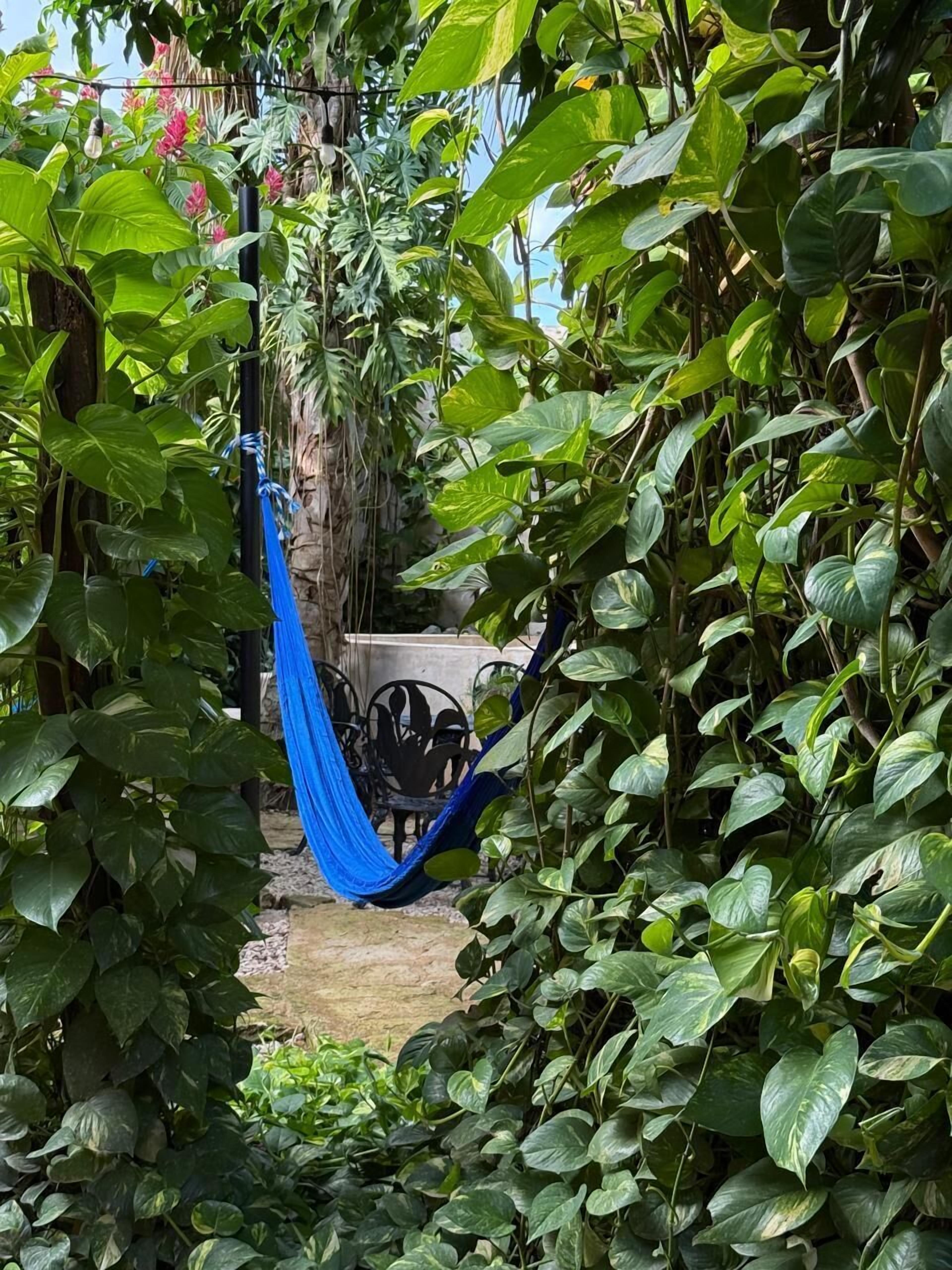 Foto - Real Haciendas