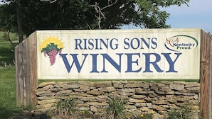 Un letrero de madera del Viñedo Rising Sons, con un gráfico de sol y vid, rodeado de un muro de piedra y follaje.