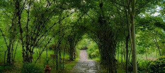 The Sky Imperial Kumbhalmer Resort