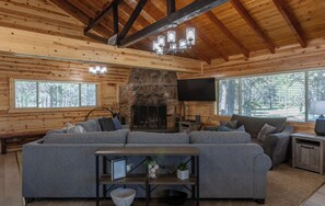 Smart TV, fireplace, DVD player, books