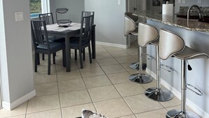 Une cuisine moderne avec un coin repas, comprenant un îlot de cuisine avec des tabourets, une table à manger avec des chaises et une grande fenêtre qui laisse entrer la lumière naturelle.