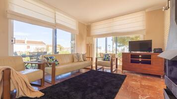 Una televisión, una chimenea