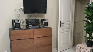 Huoneessa on puinen kaappi, televisio ja ruukussa oleva kasvi.
