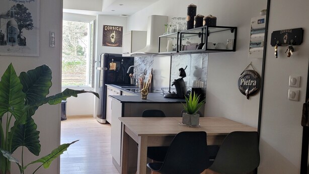 Una cocina moderna con encimera negra, un comedor con mesa y sillas de madera, y una planta verde grande al frente.