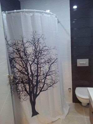Shower, hair dryer, bidet, towels