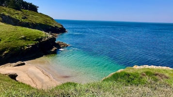 On the beach, sun-loungers
