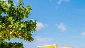 Traditional Triple Room, Garden View, Beachside | Terrace/patio - PILI PILI UHURU (Jambiani)