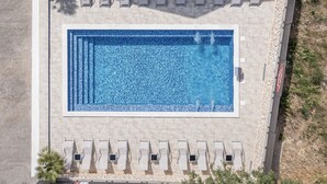 An aerial view of a rectangular swimming pool with lounge chairs and a palm tree. - Hostel Vagabundo (Novalja)