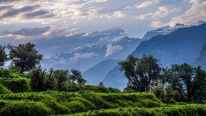 A mountainous landscape with lush green vegetation and a clear sky. - KedaraYatih Resort (Ukhimath)