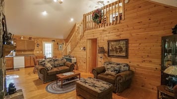 Télévision, cheminée, lecteur de DVD