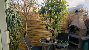 Un patio exterior con mesa de madera y dos sillas, una planta pequeña en maceta y una parrilla de barbacoa de piedra.