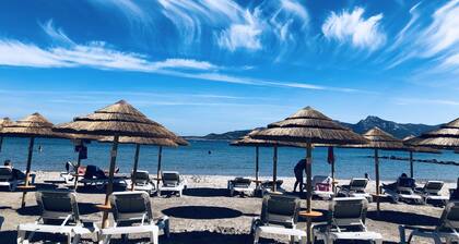 Pretty F3 50 mt from the sea