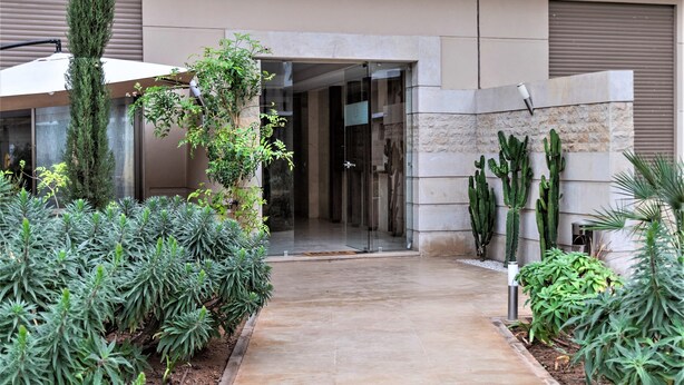 Ingresso moderno di un edificio con vialetto lastricato, circondato da piante e cactus.