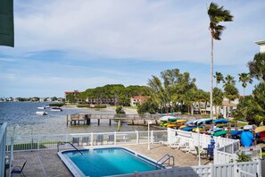 Pool - Dunedin Causeway Honeymoon Caladesi Island 1/1 Pool 211 (Dunedin)