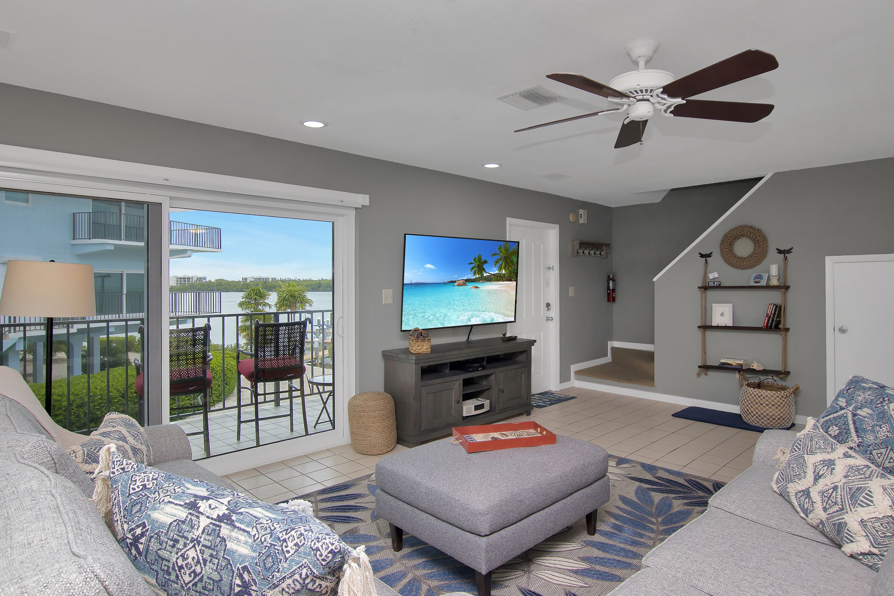 Smart TV, DVD player, books