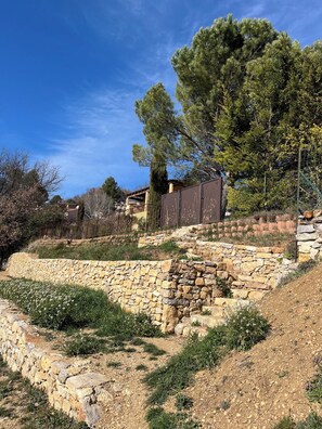 Un mur de soutènement en pierre, une clôture en métal et un grand arbre.