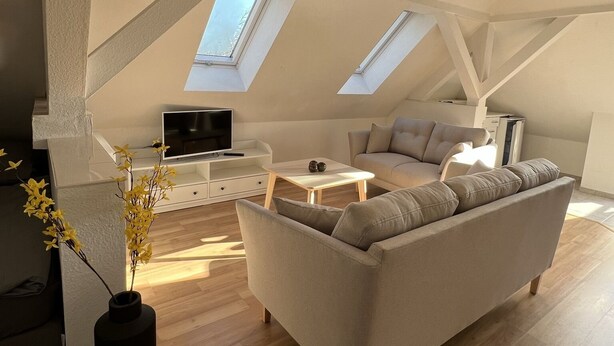 A modern loft apartment with a high ceiling, skylights, a sofa, a coffee table, and a TV. - Zeuthen, top location, high-quality/quiet/bright furnished top floor apartment with garden, near the lake (Zeuthen)