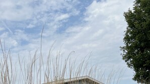 A building with a flat roof and a concrete facade, surrounded by tall, dry grass. - Lovely Beach House for 4 persons within walking distance from the Beach  (Breskens)