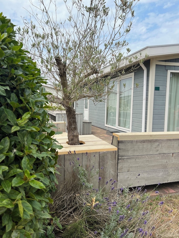 A row of modern mobile homes with large windows, surrounded by lush greenery and a small tree. - Lovely Beach House for 4 persons within walking distance from the Beach (Breskens)