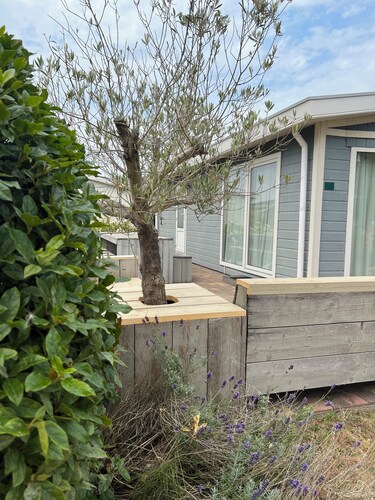 Lovely Beach House for 4 persons within walking distance from the Beach 