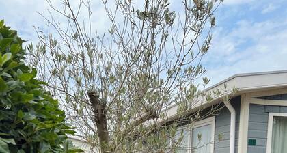 Lovely Beach House for 4 persons within walking distance from the Beach