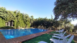Una piscina con borde de ladrillo, rodeada de césped artificial verde y sillas reclinables blancas.