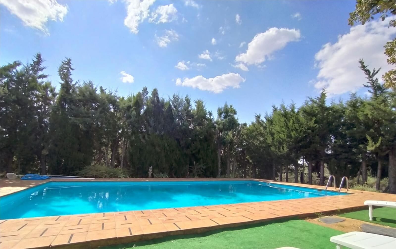 A rectangular swimming pool with a brick border, surrounded by a grassy area and trees.