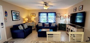 Flat-screen TV, DVD player